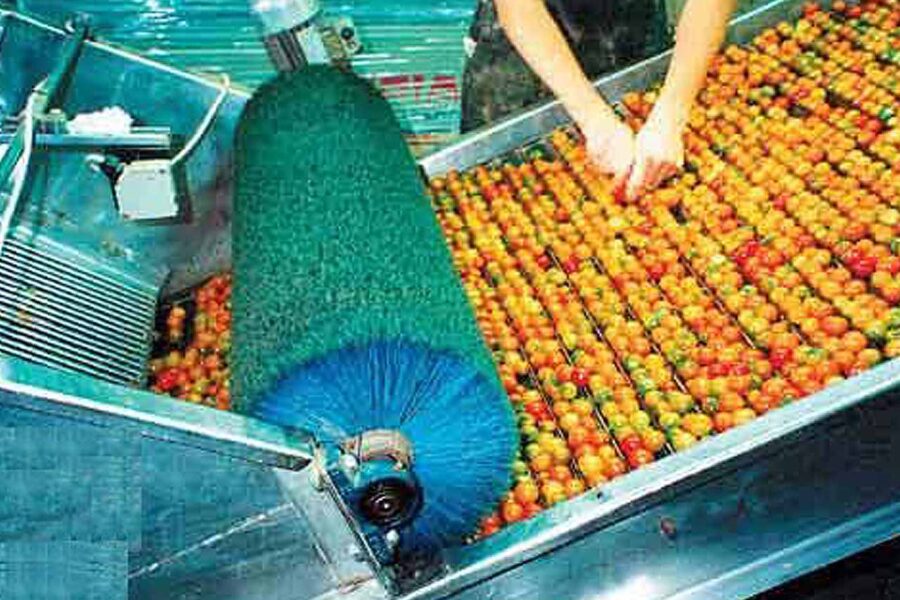 Cylindrical insertion brushes