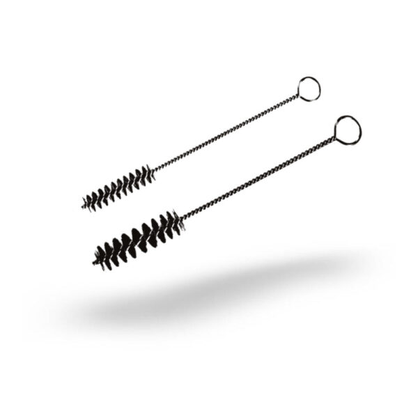JAZ ZUBIAURRE: Single Stem, Single Spiral